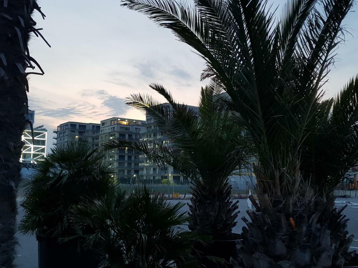 The Horse - De Silva Residence Mamaia Eksteriør bilde
